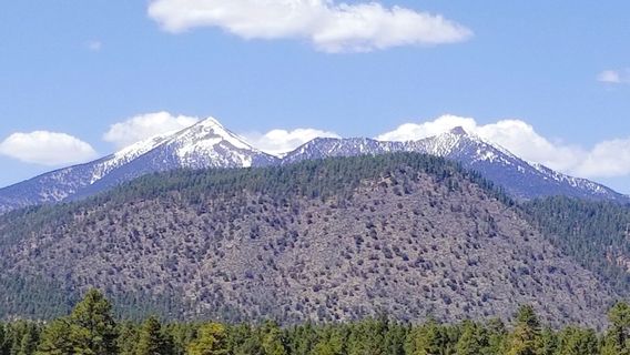 Flagstaff