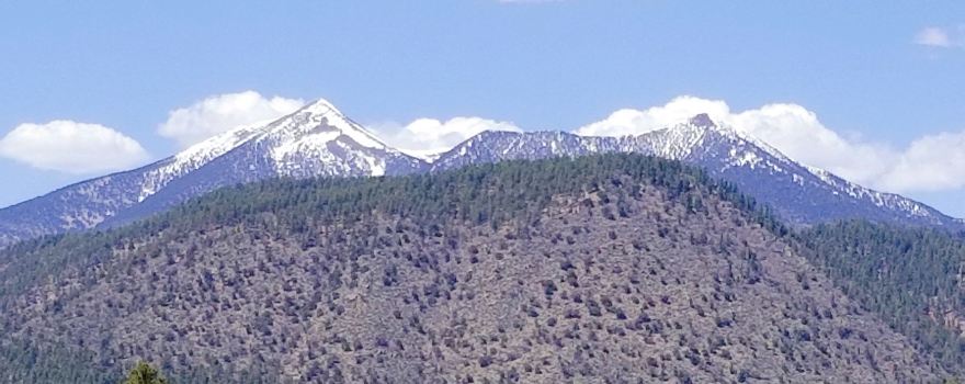 Buffalo Park