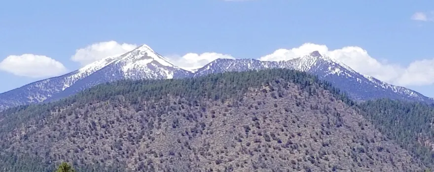 Buffalo Park