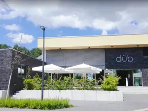 Dub