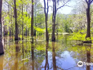 Atchafalaya Welcome Center