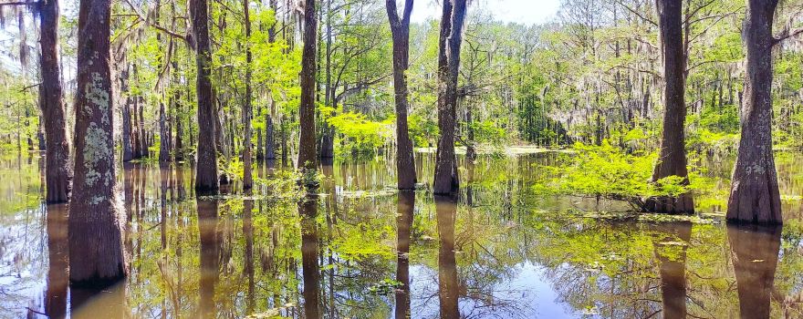 Atchafalaya Welcome Center
