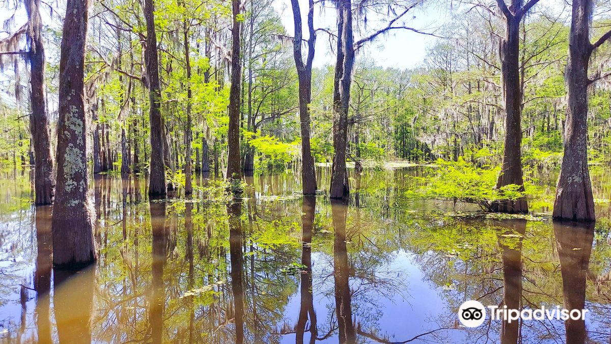 Atchafalaya Welcome Center