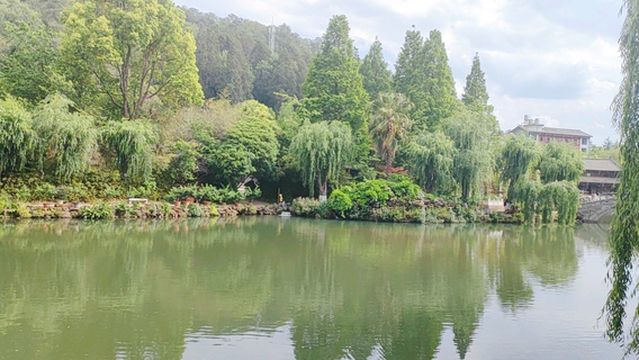 Fengzeyuan Botanical Garden