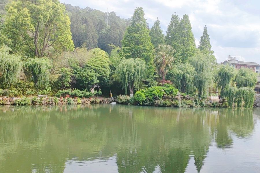 雲南豐澤源植物園