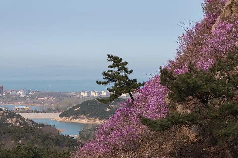 5_Zhushan National Forest Park