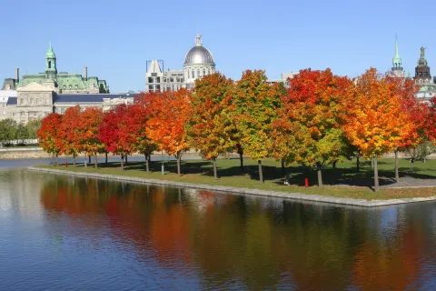 Old Montreal
