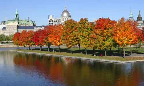 Old Montreal