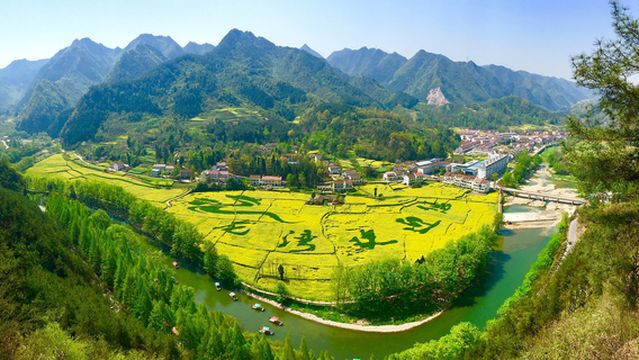 Rapeseed Flower Viewing in Hanzhong