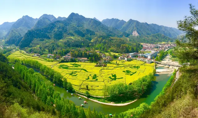 Rapeseed Flowers Viewing in Hanzhong