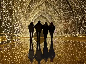 San Diego Botanic Garden Lightscape