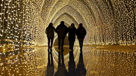 San Diego Botanic Garden Lightscape