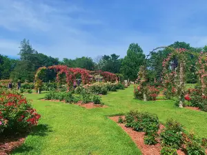 Elizabeth's Park