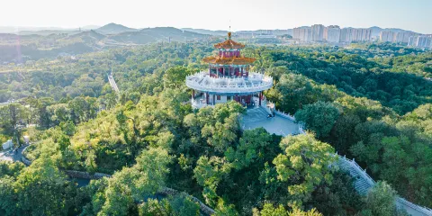 北山公園腳踏船團體(4人)