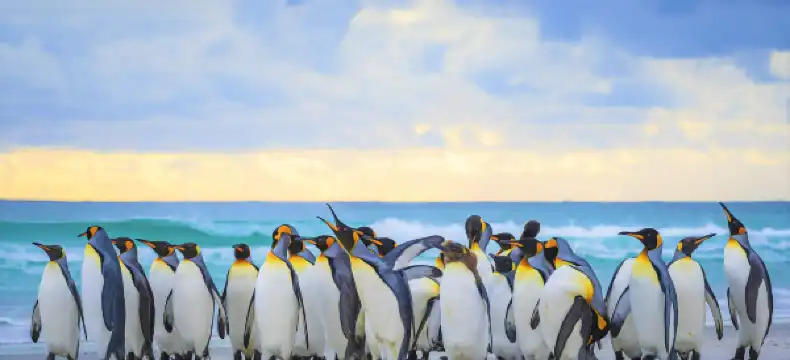 福克蘭群島設有停車場的飯店