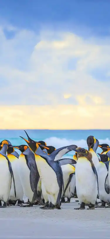 Hotels mit Parkplatz in Falklandinseln