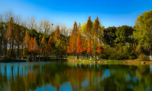 Mangshan Forest Park
