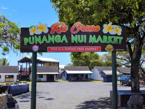 Punanga Nui