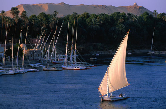 Felucca.Sailing.Boat.Luxor