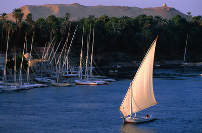 Felucca.Sailing.Boat.Luxor