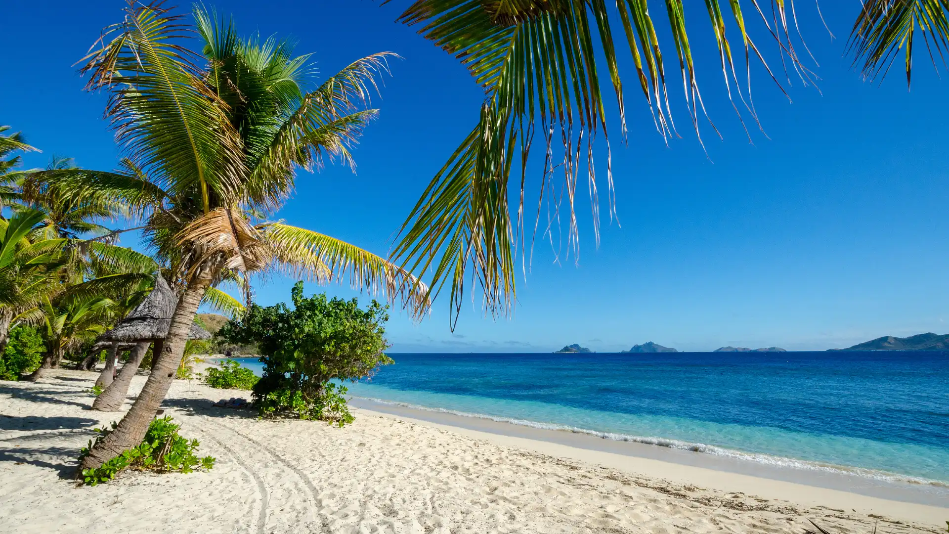 Hotels near Malolo