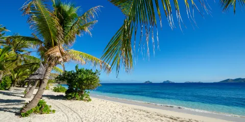 瑪魯魯