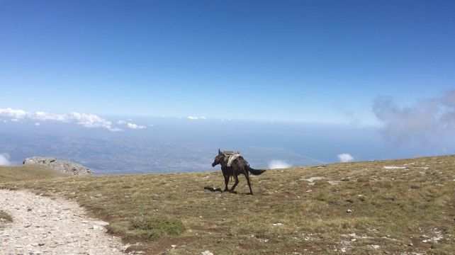 Leaving Were The Ones Who Could Not Stay | Broadway Gallery