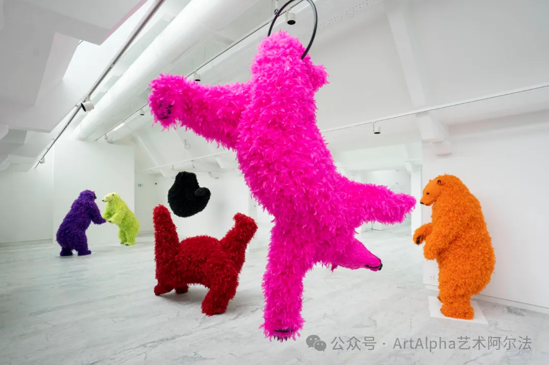 Paola Pivi — I DON’T LIKE IT, I LOVE IT | The Art Gallery of Western Australia | AGWA