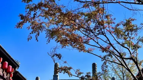 莒國古城 attraction in 日照