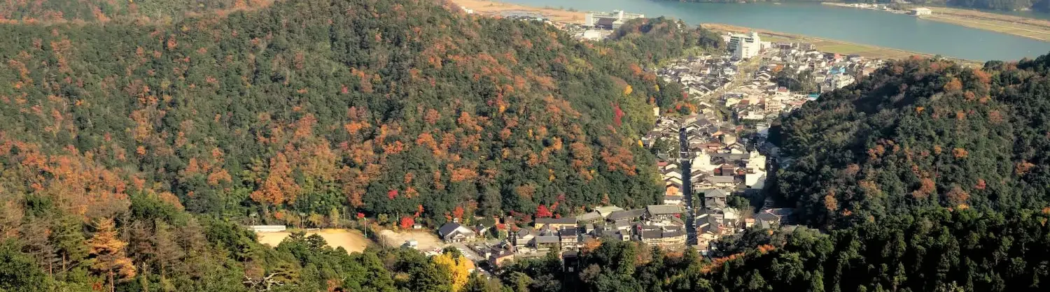 Fall Viewing Attractions