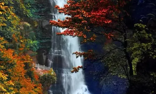The Huanglian River Scenic Area