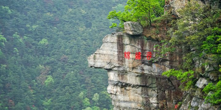 Jinxiu Valley