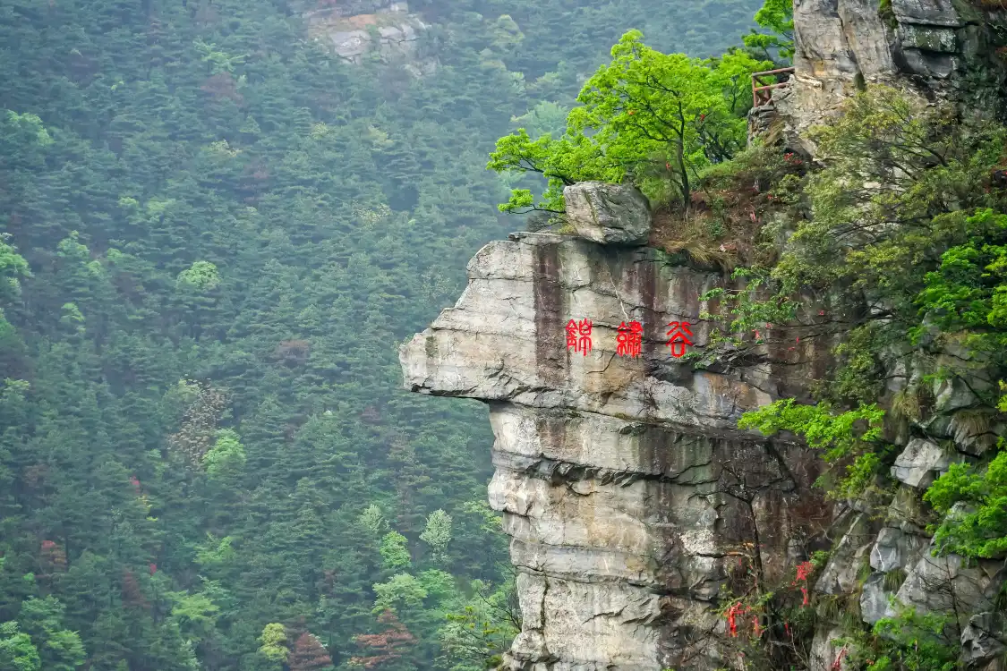 Hotels near Jinxiu Valley