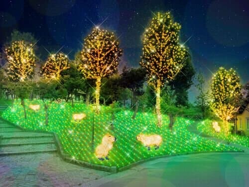 Wonder Night Hill Illumination in Osaka | Sakai