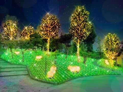 Wonder Night Hill Illumination in Osaka | Sakai