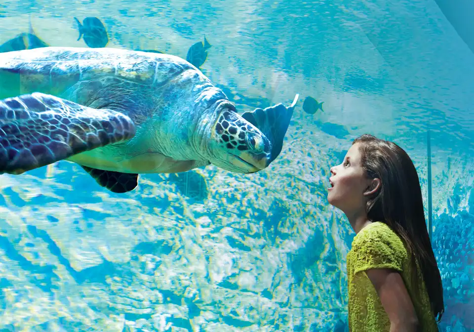 5_SeaWorld San Antonio