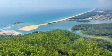 椰子島