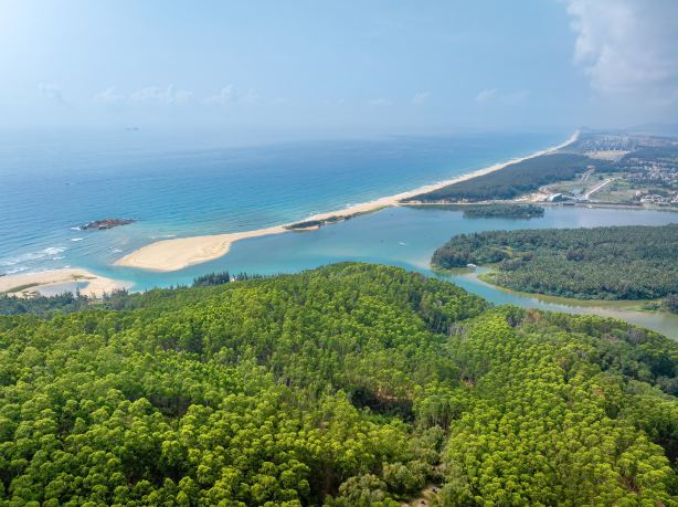 Coconut Island