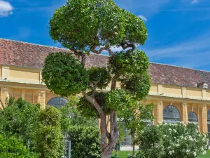 Orangery