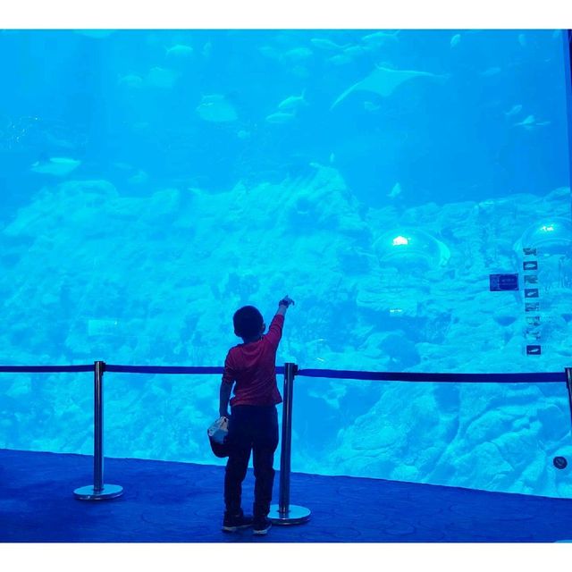 海洋公園～光影都會