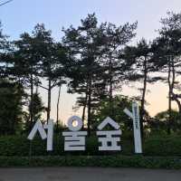 꽃보러 서울숲가자٩꒰｡•◡•｡꒱۶