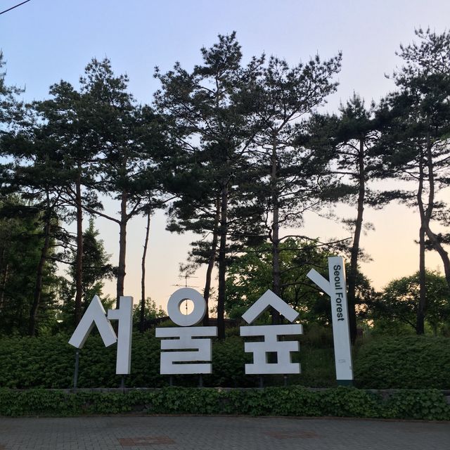 꽃보러 서울숲가자٩꒰｡•◡•｡꒱۶
