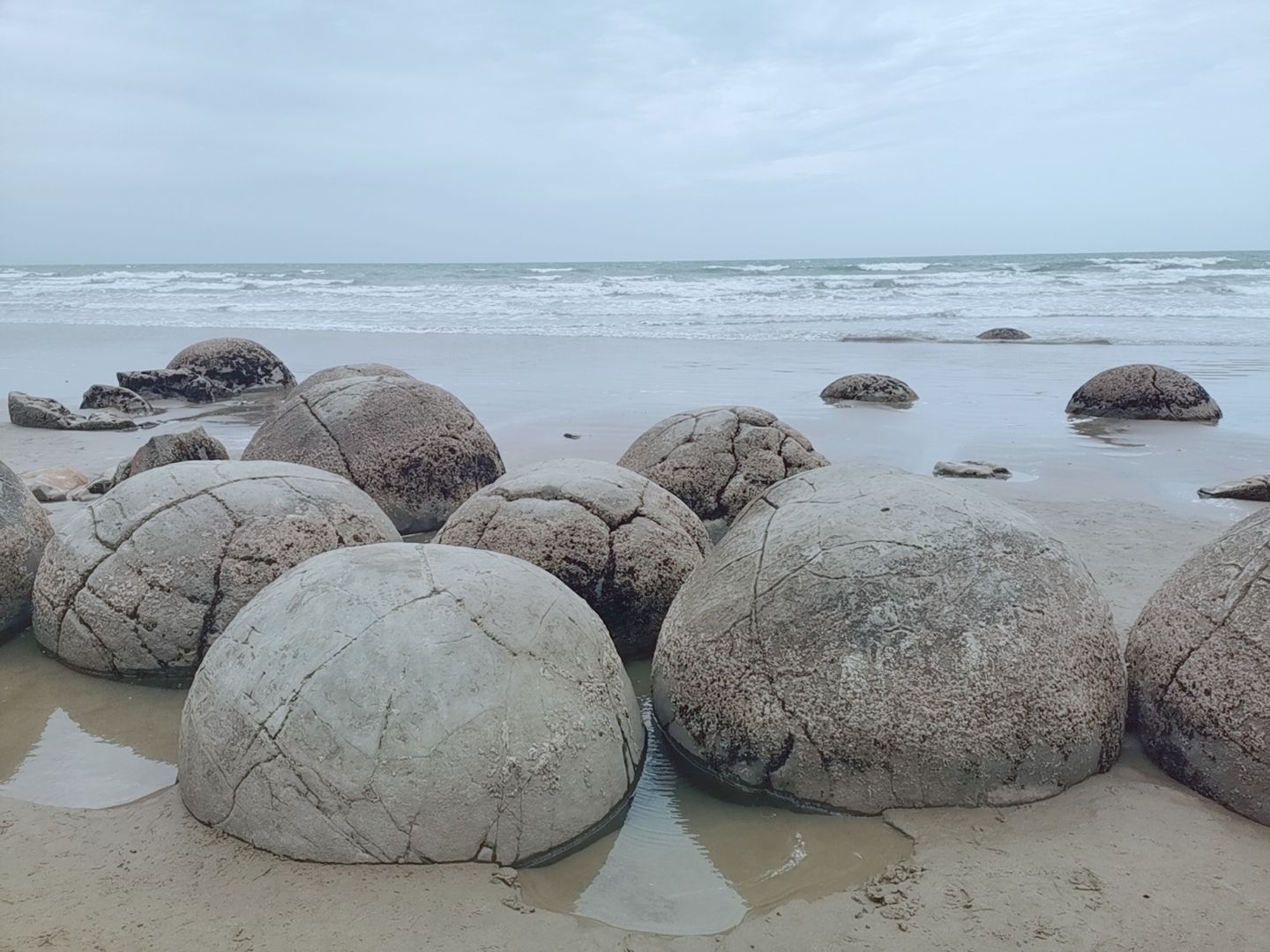 ワイタキ ディストリクト Moeraki Boulders 評判 案内 トリップドットコム ワイタキ ディストリクト Moeraki Boulders 評判 案内 トリップドットコム
