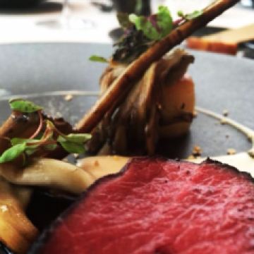 ESqUISSE用戶圖片