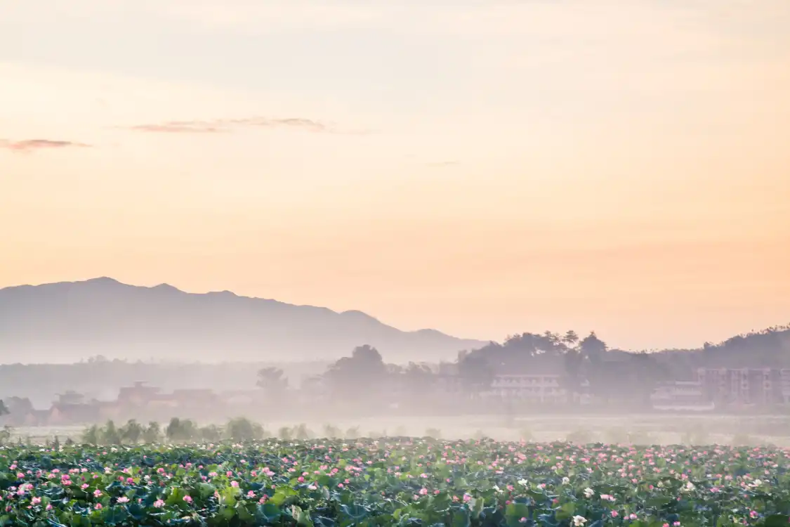 Hotels near Lianhua No.1 Village