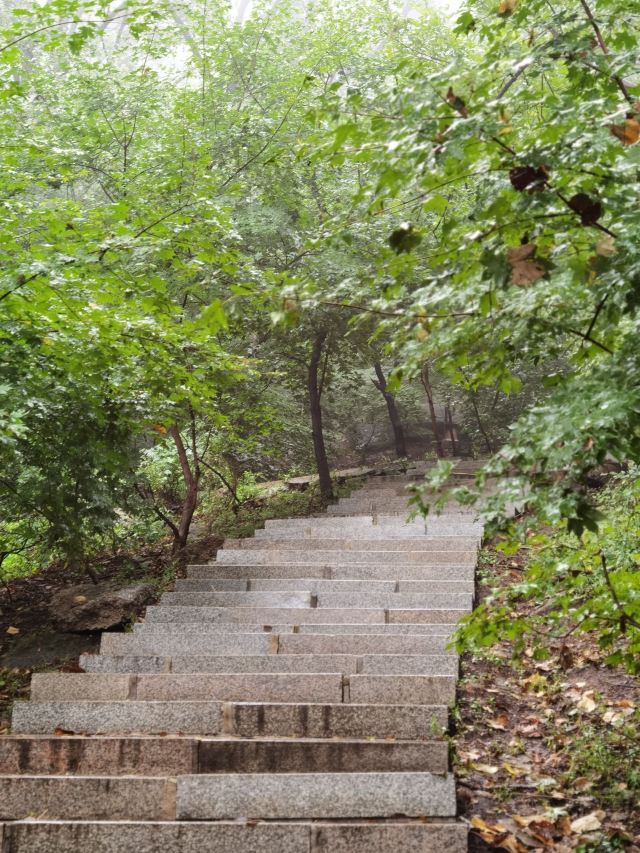 朱雀山森林公園