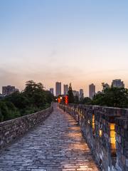 Nanjing Taicheng Wall (Ming City History Museum)