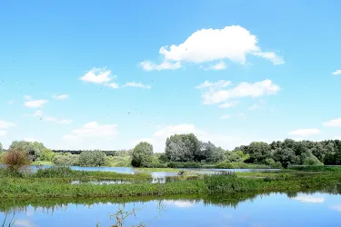 Bury Saint Edmunds