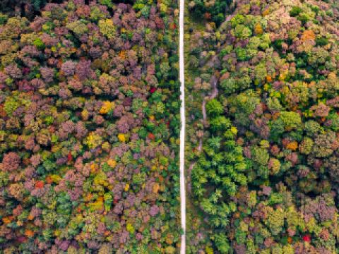澳門黑沙海灘附近酒店