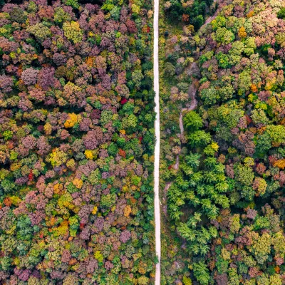 Отзывы об отеле Maijishan Warm Farmhouse